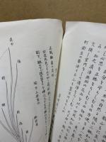 華道家元　華かゝ美　生華栞の巻