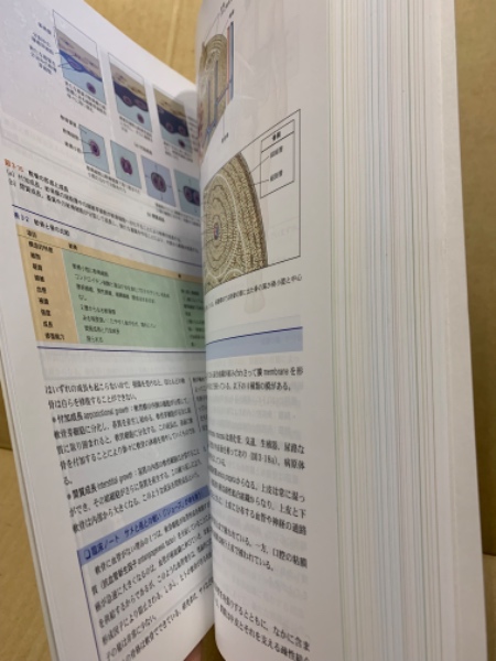 カラー人体解剖学 : 構造と機能:ミクロからマクロまで(F.H.