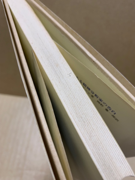 ある精神分析家の告白 古書 H.S.ストリーン 岡野憲一郎 臨床心理学 本 ある精神分析家の告白(H.S.ストリーン 著 ; L.フリーマン 口述