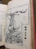 新雛形千歳袖