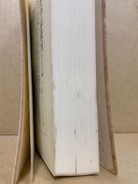 王鐸字典(伊藤松濤 編) / 古本、中古本、古書籍の通販は「日本の古本屋