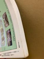 現代書道の巨匠たち