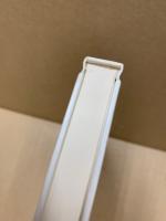 ディルタイ ナートルプ