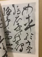 明祝允明草書前後赤壁賦