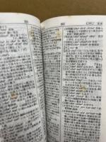 井上中国語新辞典