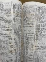 井上中国語新辞典
