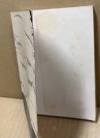 続村長後日物語　黎明日本の叫び