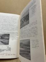 椋梨水没地域民俗資料緊急調査概報