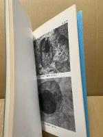 下山遺跡群発掘調査報告