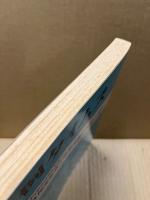 判例タイムズ 臨時増刊 996号 (1999年05月10日発売)　家庭裁判所制度50周年記念