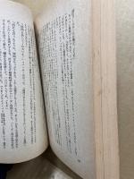針の眼 ; 危機への飛行