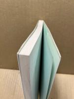 最新POPハンドライト入門 : 自店で作るPOP広告の実技