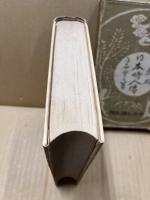 新版日本畸人伝