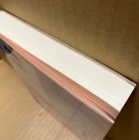 イカロスたちの飛翔の軌跡 : アメリカ小説のヴィジョンと構造