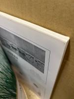古美術93　巻頭特集：沈南蘋と長崎派　特別記事：崋椿系画人の縮図帖目録