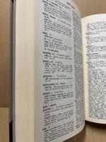 American dialect dictionary