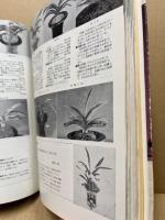 古典園芸植物編