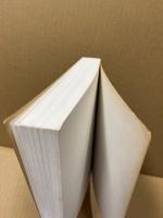 The city in literature : an intellectual and cultural history