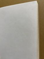 Faulkner's Early Literary Reputation in America
