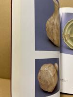 姫谷 : 十七世紀後半の色絵磁器の系譜 : 平成五年度秋季特別展