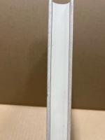 ヨーロッパにおけるポーランド人　19世紀後半～20世紀初頭