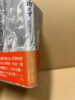 この炎は消えず　広島文学ノート
