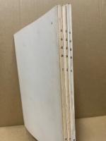 日詰遺跡　第2～4次発掘調査概報　3冊