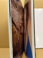 小島瑠璃子ラスト写真集―瑠璃　“こじるり” 集大成「新撮写真集112P」「別冊傑作選48P」2冊組