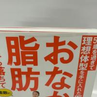 50歳を過ぎて理想体型を手に入れた医者が教えるおなかの脂肪みるみる落ちて素敵に筋肉がつく最高のやせ方大全 (健康実用)