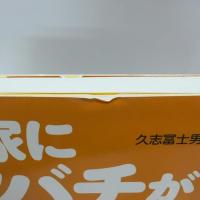 我が家にミツバチがやって来た―ゼロから始めるニホンミツバチ養蜂家への道