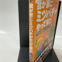 我が家にミツバチがやって来た―ゼロから始めるニホンミツバチ養蜂家への道