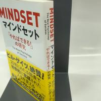 マインドセット「やればできる! 」の研究