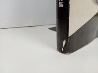 広島壊滅のとき　-被爆カメラマン写真集-　