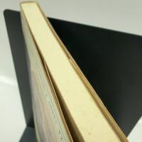 風景画の病跡学: メリヨンとパリの銅版画 (イメージ・リーディング叢書) 平凡社 気谷 誠
