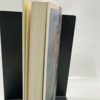 アルザスから: ヨーロッパの文化を考える 東京書籍 新田 俊三