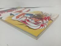 ★1995年ロマンアルバムエクストラ　MISS MACROSS ミス・マクロス/徳間書店
