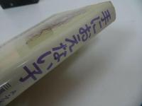 ★【手におえない子】1981年/ A.アイヒホルン、 三沢 泰太郎　