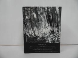 ★菊井崇史「ゆきはての月日をわかつ伝書臨」書肆子午線 /詩集・詩