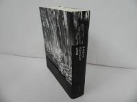 ★菊井崇史「ゆきはての月日をわかつ伝書臨」書肆子午線 /詩集・詩