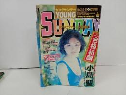 ★ヤングサンデー・YOUNG SUNDAY/1994年No.3-2/11　小島聖