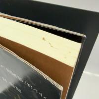 全文 リットン報告書【新装版】 ビジネス社