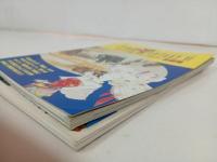 ★1994年覇王　付録「ファイナルファンタジー劇場　攻略データーBOOK PART2」2冊セット