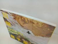 ★生誕135年記念　川端龍子展/図録　絵画・展覧会図録