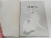 ★竹内栖鳳 -生誕150年記念-/図録 神戸新聞社 2014