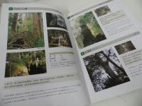 ★屋久杉記念館【屋久杉　巨樹・著名木】縄文杉「いのちの杉」展示公開記念