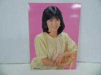 ★プロマイド【石川秀美】2枚セット/ビックプロマイド・ポスター　当時物　アタリくじ・景品・駄菓子屋