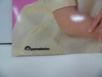 ★プロマイド【石川秀美】2枚セット/ビックプロマイド・ポスター　当時物　アタリくじ・景品・駄菓子屋
