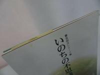 ★本願寺【いのちの不思議】千葉乗隆/巻頭言シリーズ/浄土真宗・親鸞聖人・本願寺・宗教・大乗仏教・蓮如・仏教・阿弥陀仏