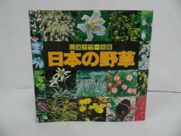 ★山渓カラー名鑑【日本の野草】山と峡谷社・2003年