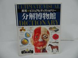 ★英和【分解博物館】ビジュアル・ディクショナリー/1996年/人体・体・解剖・図鑑・